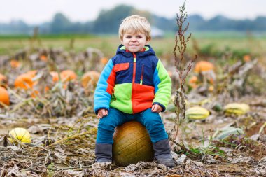 garçon enfant en bas âge s'amuser assis sur une énorme citrouille d'halloween 