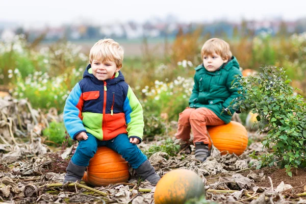 Zwei kleine Geschwister sitzen an einem kalten Herbsttag auf einem großen Kürbis — Stockfoto