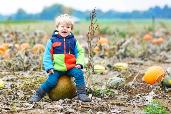 Batole chlapce baví sedí na obrovské halloween dýně — Stock fotografie