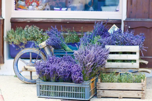Winkel in de Provence versierd met lavendel en vintage dingen. — Stockfoto