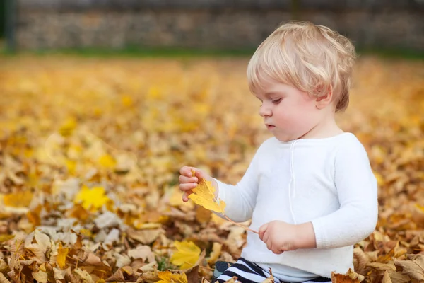 Little toddler boy playing in autumn park — Stock Photo, Image