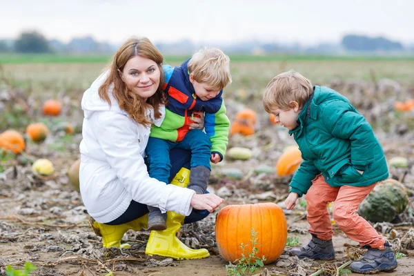 Mother and two little sons having fun on pumpkin patch. — Stock Photo, Image