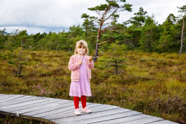 Küçük kız, siyah bozkır doğa manzarasında ahşap bir yolda yürüyor. Ulusal Parkı ağaçlar, bitkiler ve bataklıklarla keşfeden aktif anaokulu çocuğu..