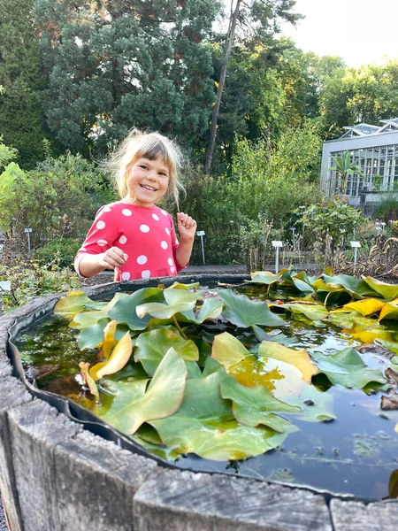 Niña preescolar visitando el jardín botánico. Emocionado niño feliz explorar diferentes flores, plantas, árboles. Los niños aprenden sobre la naturaleza. —  Fotos de Stock