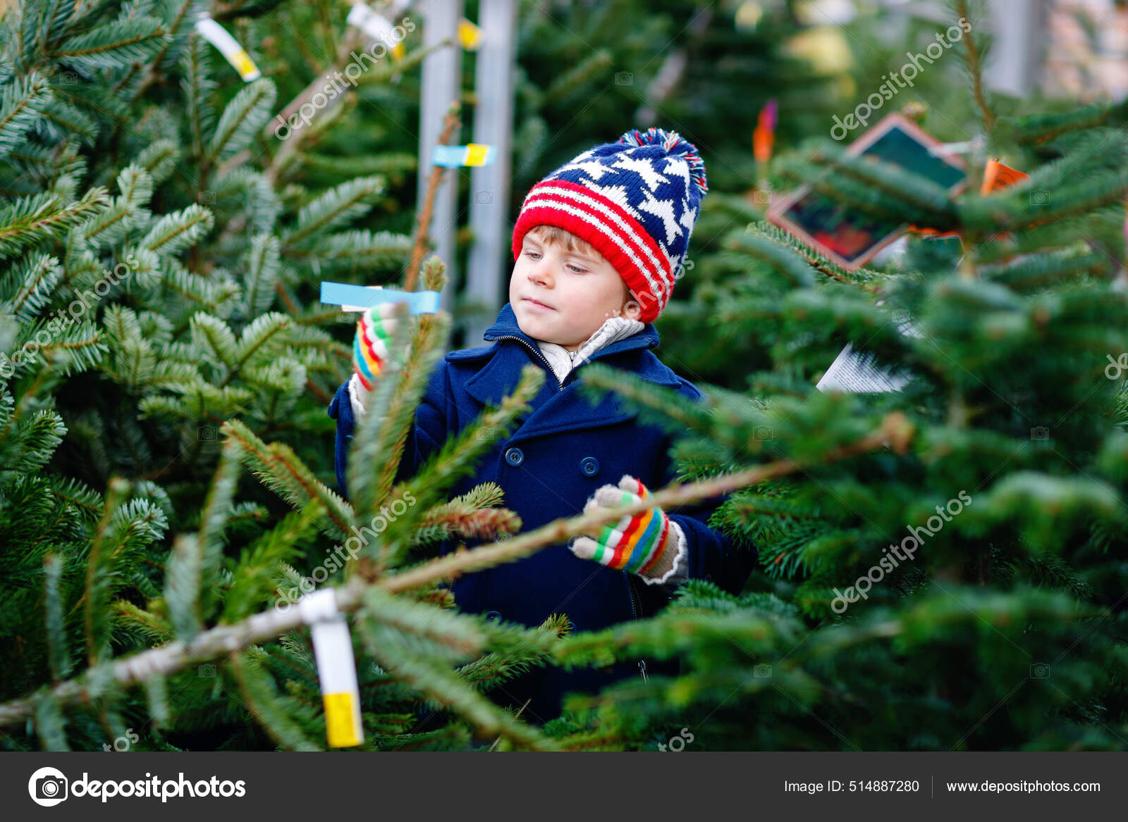Menino sorridente adorável segurando a árvore de Natal no mercado. Criança  saudável feliz em roupas de