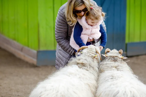 Adorável bonito menina da criança e jovem mãe alimentando cabras e ovelhas em uma fazenda de crianças. Bonito bebê criança animais de estimação no zoológico. Mulher e filha juntos em férias de fim de semana em família . — Fotografia de Stock