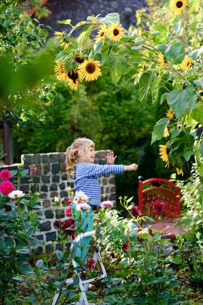Piccola ragazza in età prescolare con girasole enorme in giardino domestico. Bambino felice imparare giardinaggio, piantare e coltivare fiori e piante. Bambini ed ecologia, concetto di ambiente. — Foto Stock