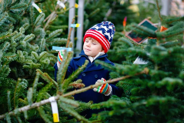 Adorable niño sonriente sosteniendo el árbol de Navidad en el mercado. Feliz niño sano en ropa de moda de invierno elegir y comprar gran árbol de Navidad en la tienda al aire libre. Familia, tradición, celebración. —  Fotos de Stock