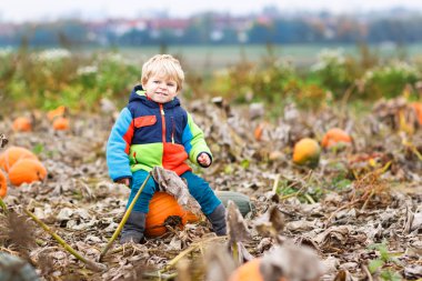 garçon enfant en bas âge s'amuser assis sur une énorme citrouille d'halloween 