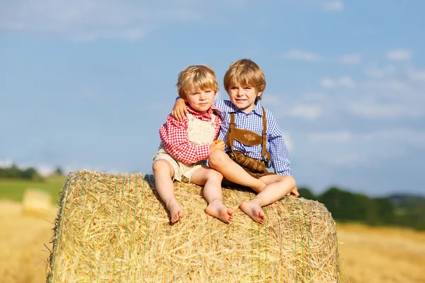 Dva malí přátelé sedí na balíku sena — Stock fotografie