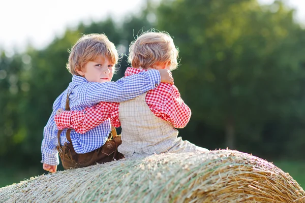 Два маленьких братика и друзья сидят на стоге сена — стоковое фото