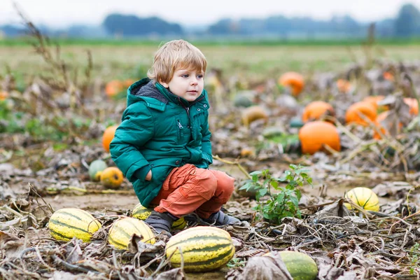 Småbarn pojke ha roligt sitter på enorma halloween pumpa — Stockfoto