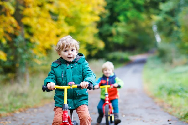 Dois meninos irmãos ativos dirigindo em bicicletas na floresta de outono — Fotografia de Stock