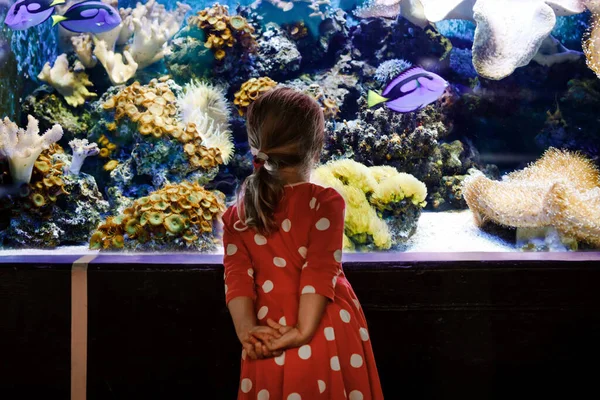 Carina bambina in visita all'acquario dello zoo. Bambino felice guardando pesci e meduse, coralli. Affascinato bambino con fauna selvatica di mare profondo. — Foto Stock