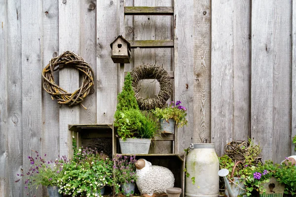 Krásné uspořádání rostlin a dřevěné výzdoby a keramické dekorace v obchodě pro venkovní a zahradní. — Stock fotografie