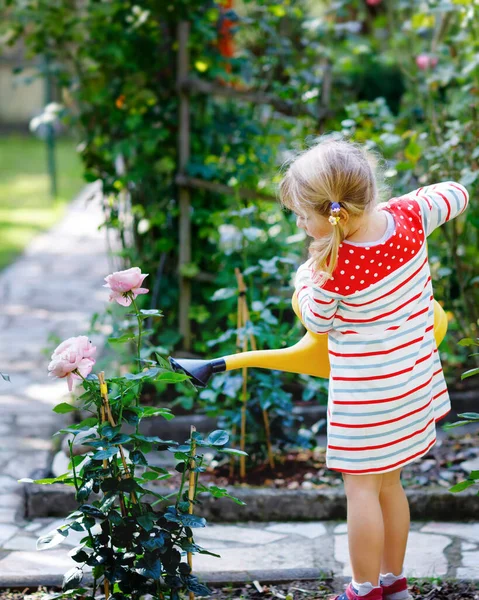 Όμορφο μικρό κοριτσάκι σε κόκκινο πολύχρωμο φόρεμα πότισμα λουλούδια ανθίζοντας τριαντάφυλλα με τα παιδιά νερό μπορεί. Ευτυχισμένο παιδί βοηθά στον οικογενειακό κήπο, σε εξωτερικούς χώρους σε ζεστή ηλιόλουστη φωτεινή ημέρα. — Φωτογραφία Αρχείου