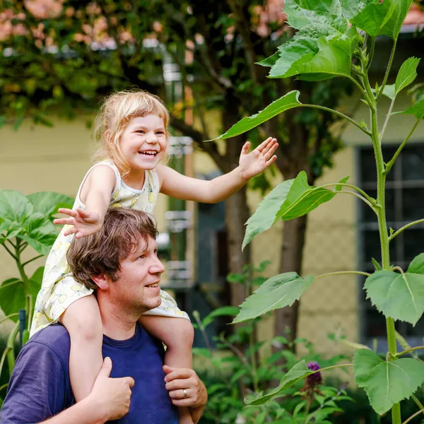 Petite fille d'âge préscolaire assise sur l'épaule du père avec un énorme tournesol dans le jardin domestique. Heureuse famille, enfant et père, homme d'âge moyen cultivant des fleurs. Enfants et écologie, concept d'environnement. — Photo