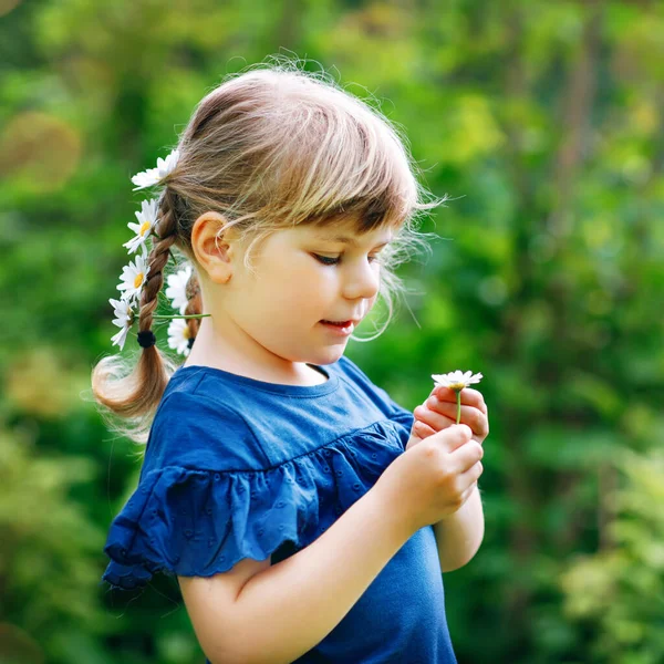 Liten förskoleflicka med flätor och tusensköna blommor i långa blonda hår. Närbild av småbarn. Sommarkoncept. Barn utomhus med prästkragar blomma. Att spela han älskar mig. — Stockfoto