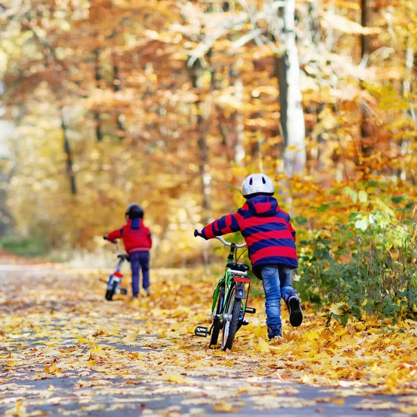 Двоє маленьких хлопчиків їдуть на велосипеді з велосипедами в осінньому лісовому парку в барвистому одязі — стокове фото