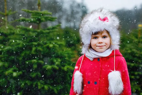 Очаровательная маленькая девочка с рождественской ёлкой на пихте. Счастливый ребенок в зимней модной одежде выбирает, срубает и вырубает собственную рождественскую елку в лесу, семейная традиция в Германии — стоковое фото