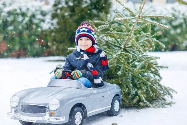 Grappig klein lachend kind jongen rijden speelgoed auto met kerstboom. — Stockfoto