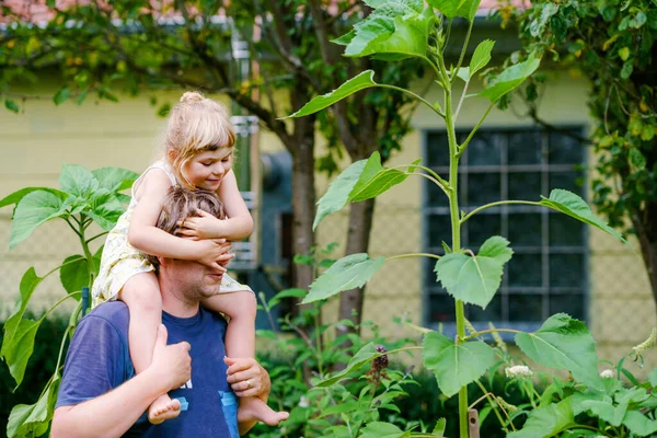 Mała przedszkolanka siedząca na ramieniu ojca z ogromnym słonecznikiem w ogrodzie. Szczęśliwa rodzina, dziecko i tata, mężczyzna w średnim wieku uprawiający kwiaty. Dzieci i ekologia, koncepcja środowiska. — Zdjęcie stockowe