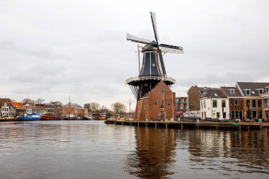 Haarlem, Hollanda 'nın şehir manzarası. Eski yel değirmeni ve tipik Hollanda evleri manzarası.