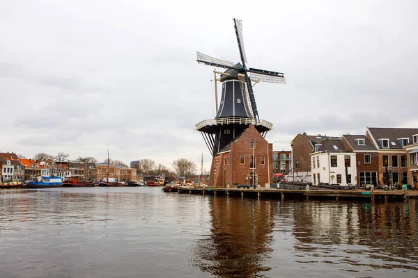 Cityscape of Haarlem, the Netherlands. View of old windmill and typical Dutch houses. — Stock Photo, Image