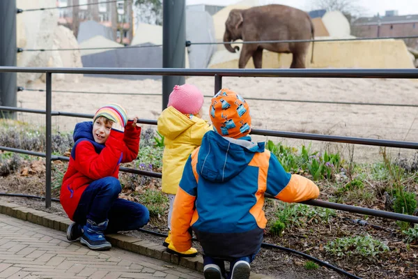 İki okul çocuğu ve kız bebek hayvanat bahçesinde fil izliyorlar. Hayvanları keşfeden ve eğlenen mutlu bir aile. Heyecanlı çocuklar ve kardeşlerim dışarıda.. — Stok fotoğraf