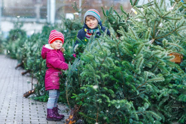 Δύο μικρά αδέλφια κοριτσάκι και το παιδί αγόρι κρατώντας το χριστουγεννιάτικο δέντρο στην αγορά. Ευτυχισμένα παιδιά το χειμώνα ρούχα μόδας επιλέγοντας και αγοράζοντας χριστουγεννιάτικο δέντρο σε υπαίθριο κατάστημα. Οικογένεια, παράδοση, γιορτή — Φωτογραφία Αρχείου