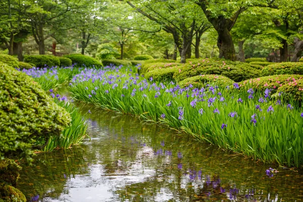 日本石川县金泽园（英语：Kenroku-en garden）是日本的一个古老的传统花园。肯罗库恩是日本三个大花园中的一个，与开拉库恩和可拉库恩一起，是日本最大的三个花园之一. — 图库照片