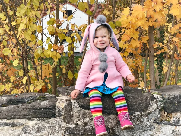 Adorable niña linda niño caminando en un parque en el día de otoño. Feliz niño divirtiéndose al aire libre. Actividades otoñales con niños. Hacer un paseo con la familia. —  Fotos de Stock