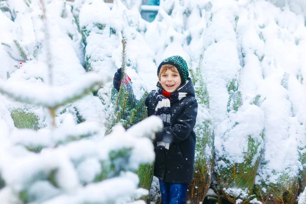 Lustig liten leende pojke som håller i julgranen. Glada barn i vinter mode kläder välja och köpa xmas träd i utomhus butik på snöig vinterdag. Familj, tradition, fest. — Stockfoto
