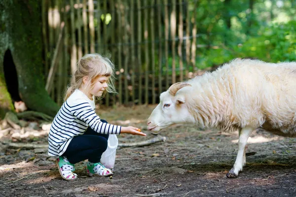 Urocza dziewczynka z przedszkola karmiąca małe dzikie owce w parku leśnym dzikich zwierząt. Szczęśliwe dziecko pieszczoty zwierząt w letni dzień. Podekscytowana i szczęśliwa dziewczyna na rodzinny weekend, zajęcia dla dzieci w lecie. — Zdjęcie stockowe