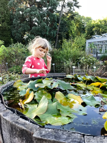 Niña preescolar visitando el jardín botánico. Emocionado niño feliz explorar diferentes flores, plantas, árboles. Los niños aprenden sobre la naturaleza. —  Fotos de Stock