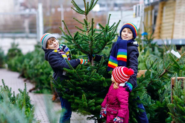 Three little siblings: toddler girl and two kids boys holding Christmas tree on market. Happy children in winter clothes choosing and buying tree in outdoor shop. Family, tradition, celebration — Stock Photo, Image