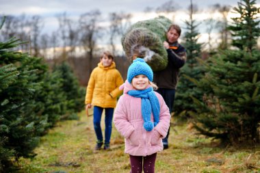 Mutlu bir aile, bir adam ve iki çocuklu bir Noel ağacı ve ağaç kesme çiftliği. Anaokulu kızı, çocuk ve baba ormanda kendi Xmas ağacını, Almanya 'da aile geleneğini seçiyor, kesiyor ve kesiyor.