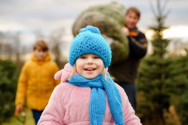 Mutlu bir aile, bir adam ve iki çocuklu bir Noel ağacı ve ağaç kesme çiftliği. Anaokulu kızı, çocuk ve baba ormanda kendi Xmas ağacını, Almanya 'da aile geleneğini seçiyor, kesiyor ve kesiyor.