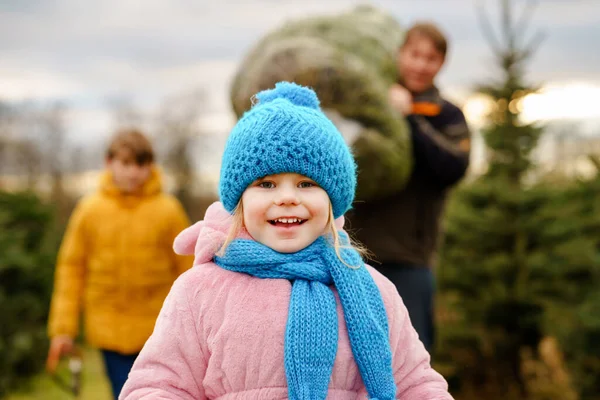 Happy family, man and two children with Christmas tree on fir tree cutting plantation. Preschool girl, kid boy and father choosing, cut and felling own xmas tree in forest, family tradition in Germany — Fotografia de Stock