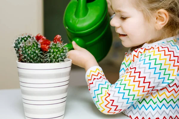 Pequeña niña regando flores y plantas de cactus en la ventana en casa. Lindo niño ayudando, la vida doméstica. Feliz niño sano sosteniendo el agua puede, ayuda inclinada. Verde, concepto de medio ambiente. —  Fotos de Stock