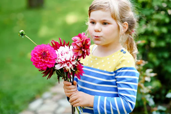 Kleines Vorschulmädchen mit einem riesigen Strauß blühender roter und pinkfarbener Dahlienblüten. Glückliches Kind mit Blumen in den Händen. Vorschulkind mit Pfingstrosen für Mutter oder Geburtstag. Gartenkinder. — Stockfoto