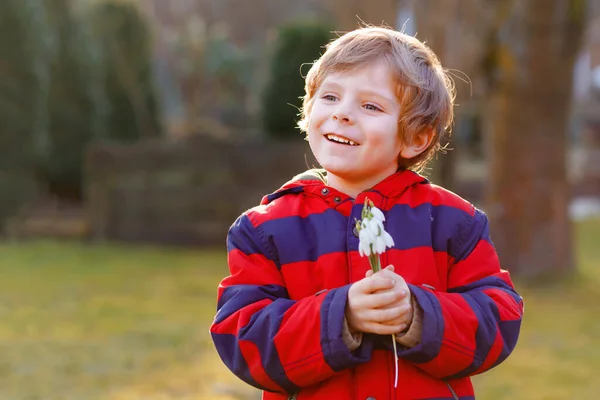 Schattig jongetje met sneeuwbloemen buiten bij zonsondergang. Gelukkig gezond kind maken cadeau voor mama op moederdag. Lente en lente. — Stockfoto