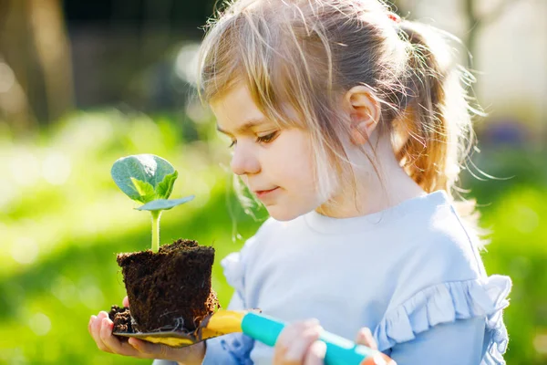 Elinde yeşil bitkiler filizlenen bir bahçe küreği tutan küçük kızın yakın çekimi. Sevimli çocuk bahçeciliği, ekmeyi ve sebze yetiştirmeyi ev bahçesinde öğreniyor. Ekoloji, organik gıda. — Stok fotoğraf