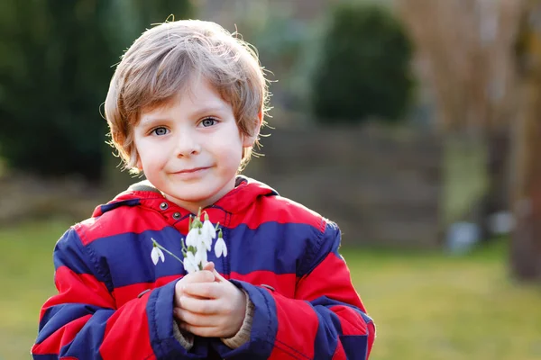 Cute little kid boy holding snowdrop flowers outdoors on sunset. Happy healthy child making gift for mum on mother s day. Springtime and spring. — Stock Photo, Image