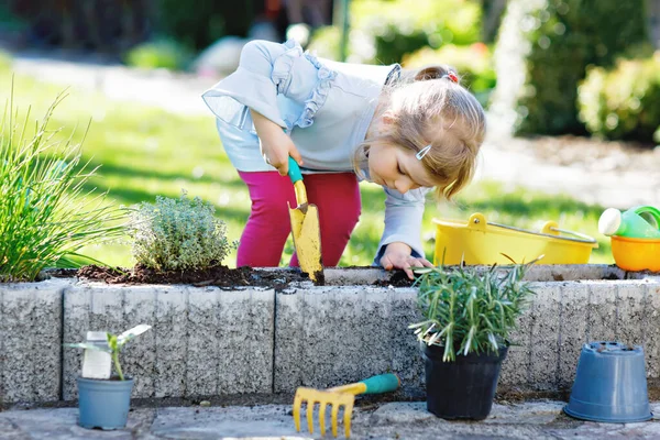 Adorable little toddler girl holding garden shovel with green plants seedling in hands. Cute child learn gardening, planting and cultivating vegetables herbs in domestic garden. Ecology, organic food. — Stock Photo, Image