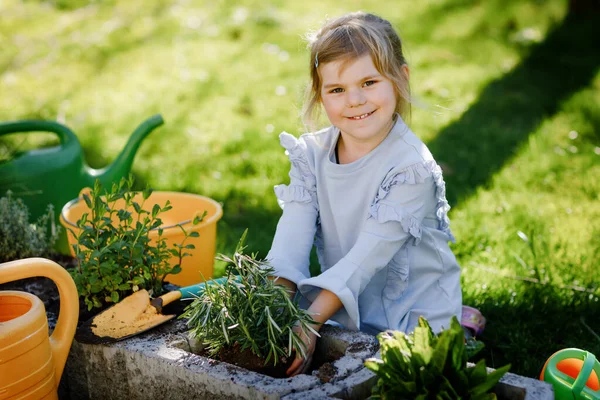 Adorável menina criança segurando pá de jardim com plantas verdes mudas nas mãos. Criança bonito aprender jardinagem, plantio e cultivo de ervas vegetais no jardim doméstico. Ecologia, alimentos orgânicos. — Fotografia de Stock