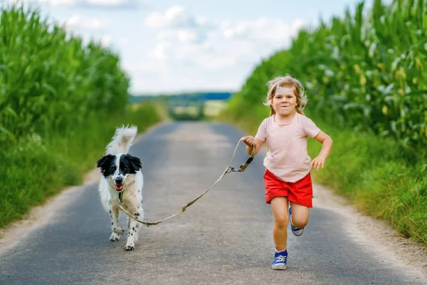 Jolie petite fille d'âge préscolaire qui va se promener avec un chien de famille dans la nature. Joyeux enfant souriant s'amuser avec chien, courir et étreindre. Joyeux famille à l'extérieur. Amitié et amour entre animaux et enfants — Photo
