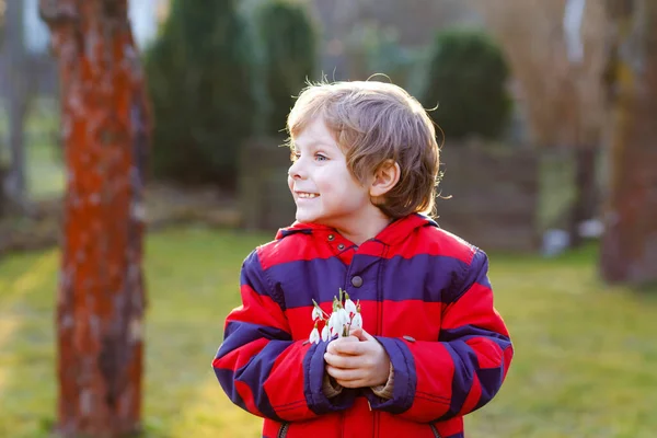 Un ragazzino carino che tiene fiori di bucaneve all'aperto al tramonto. Buon bambino sano fare regalo per la mamma il giorno della mamma. Primavera e primavera. — Foto Stock