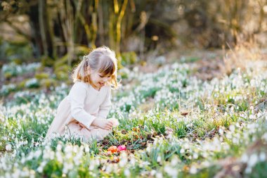 Güneşli bir günde, açık havada bahar ormanlarında Paskalya yumurtası avına çıkan küçük kız. Bir sürü kartopu çiçeği ve renkli yumurtası olan sevimli, mutlu bir çocuk. İlkbahar, Hıristiyan bayramı konsepti.