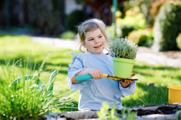 Schattig klein peutermeisje met tuinschop met groene planten in de hand. Schattig kind leren tuinieren, planten en kweken van groenten kruiden in de binnenlandse tuin. Ecologie, bio voeding. — Stockfoto
